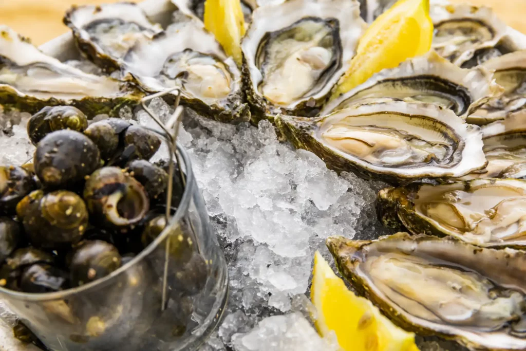 Dégustation d’huîtres et de bulots frais sur glace, spécialités locales du bassin d’Arcachon proposées par La Plume du Cap